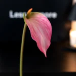 Artificial Anthurium Stem 5