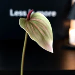 Artificial Anthurium Stem 6