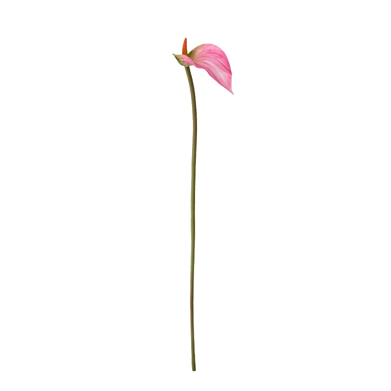 Artificial anthurium stem with one glossy spathe and an upright spadix