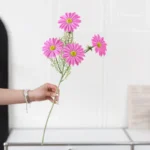 Artificial Cosmos Stem 2