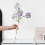 Artificial Cosmos Stem 3