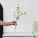 Artificial Cosmos Stem 5