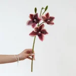 Artificial Cymbidium Orchid Stem 6