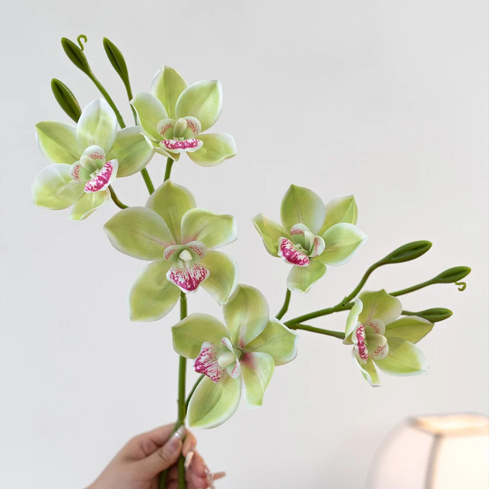 Lime artificial cymbidium orchid stem with several open blooms and buds along one arching cane, held in one hand