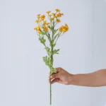 Artificial Daisy Spray Stem 3