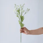 Artificial Daisy Spray Stem 2