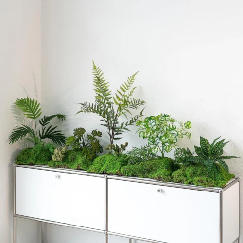 Artificial fern arrangement rooted into a raised moss mound, styled on a table top