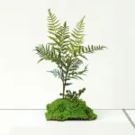 Artificial Fern Arrangement 2