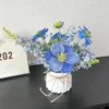 20