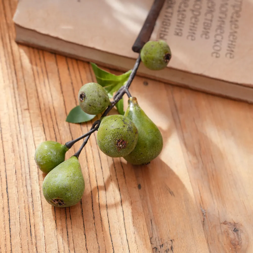 Green artificial fruit branch with figs and berries on a woody stem, styled on a table top