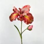 Artificial Iris Stem, Real Touch 5