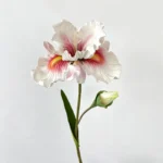 Artificial Iris Stem, Real Touch 4