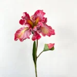 Artificial Iris Stem, Real Touch 3