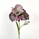 Artificial Iris Stem, Real Touch 2