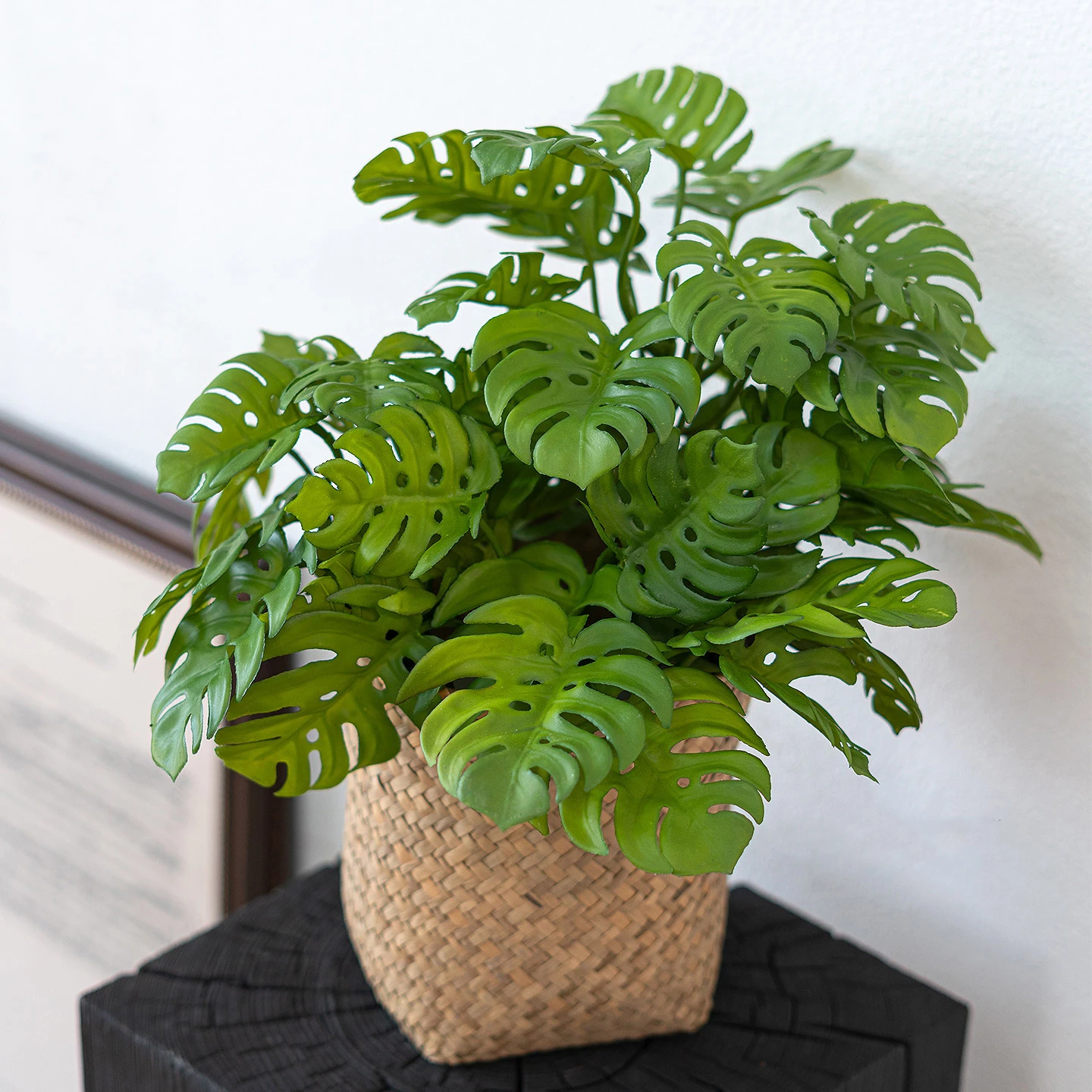 In a basket artificial monstera leaf stem with split leaves twenty to thirty centimetres across, arranged in a vase
