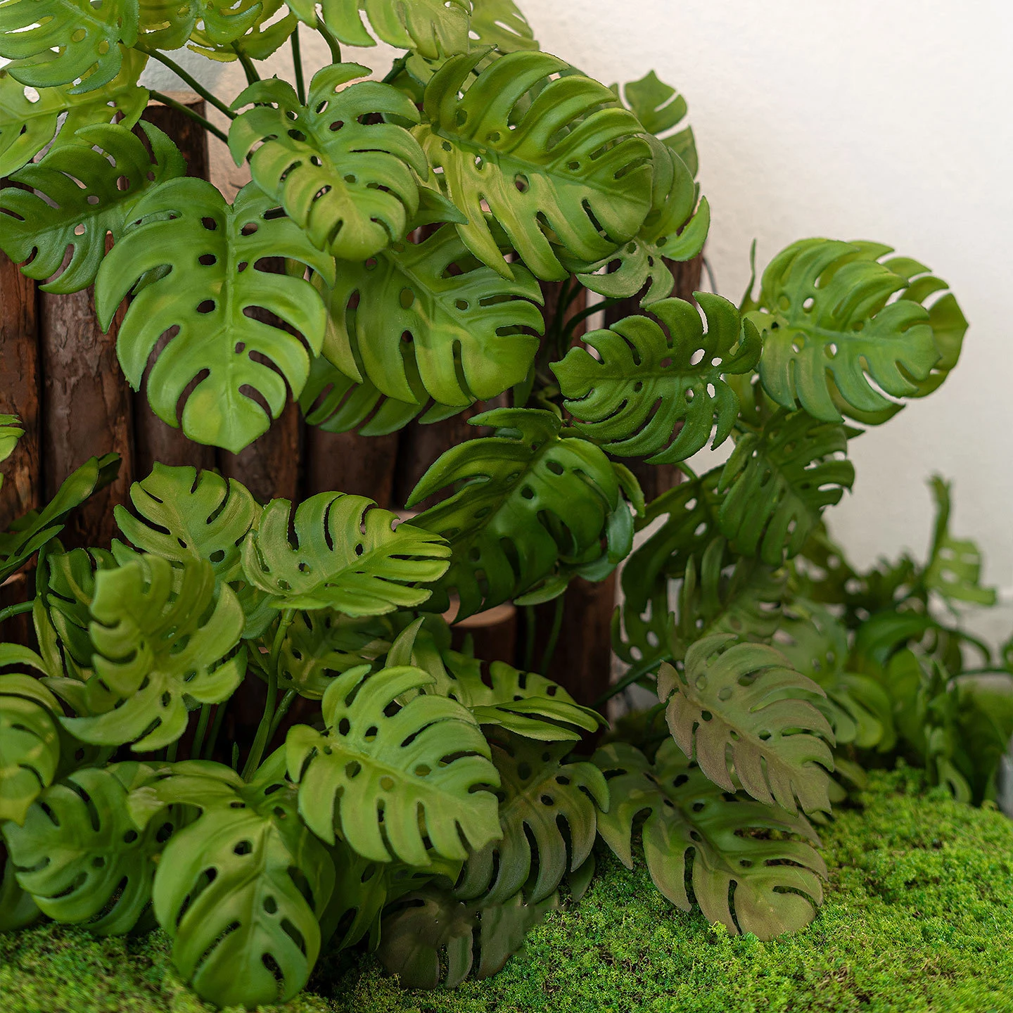 Massed artificial monstera leaf stem with split leaves twenty to thirty centimetres across, styled on a table top