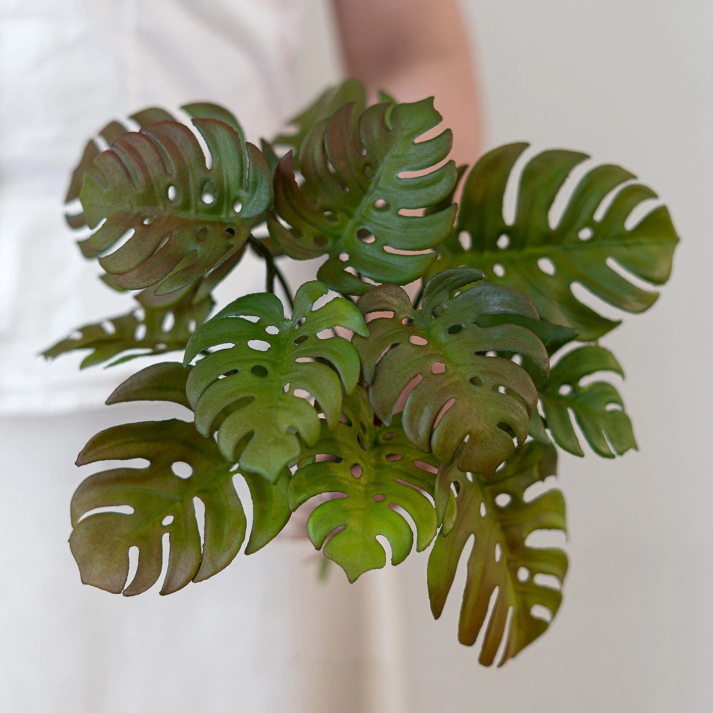 Wide leaf artificial monstera leaf stem with split leaves twenty to thirty centimetres across, held in one hand