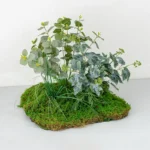 Artificial Moss Arrangement 5