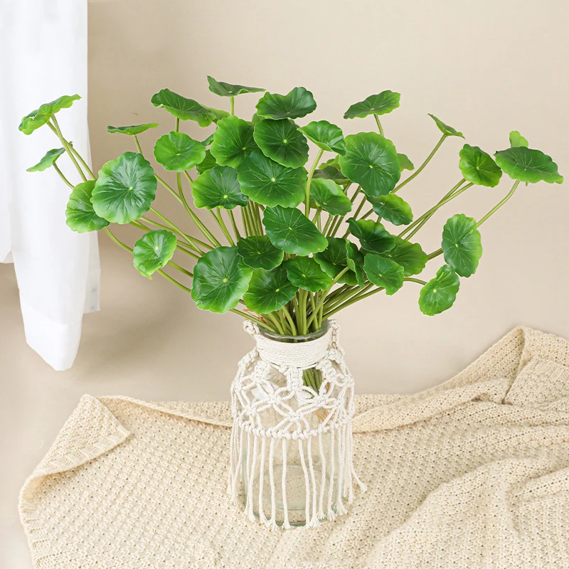 In a glass vase artificial pennywort stems with round shield-shaped leaves on fine stalks, arranged in a vase