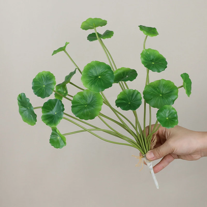In hand artificial pennywort stems with round shield-shaped leaves on fine stalks, held in one hand