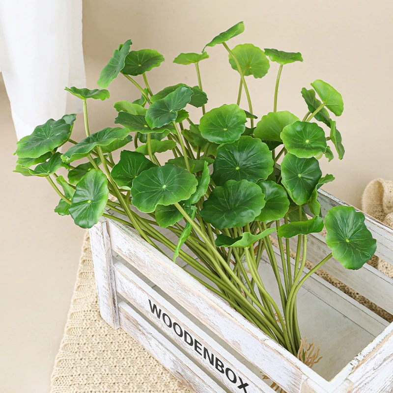 Massed artificial pennywort stems with round shield-shaped leaves on fine stalks, styled in a room setting