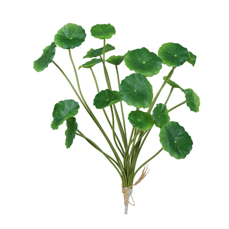 Single bunch artificial pennywort stems with round shield-shaped leaves on fine stalks