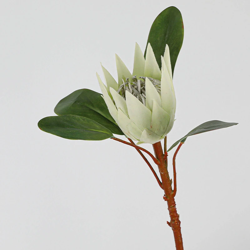 White artificial protea stem with a cone head and broad leathery leaves