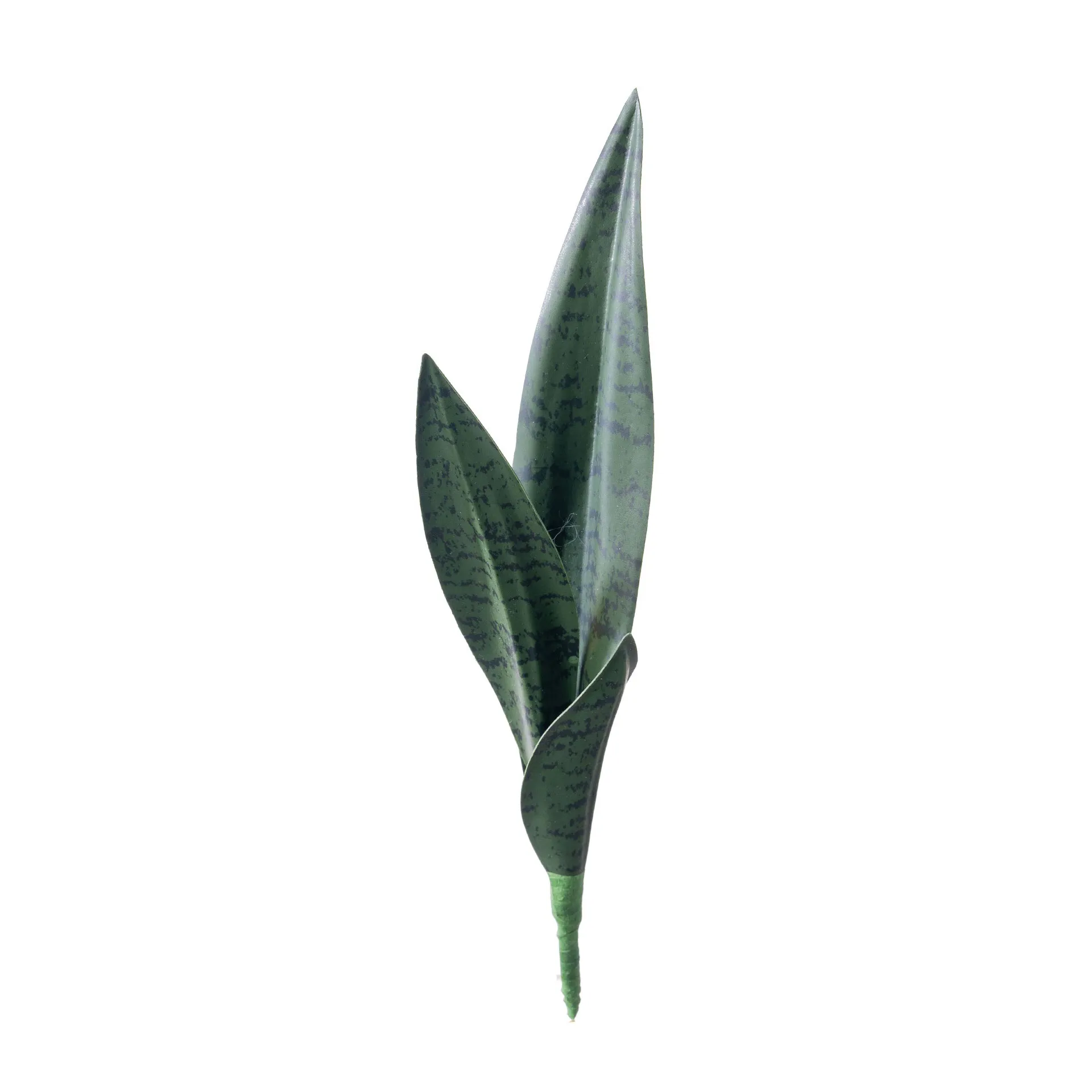 Green artificial snake plant leaf with banded markings and a stiff blade