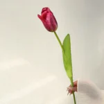 Real Touch Artificial Tulip 2