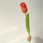 Real Touch Artificial Tulip 6
