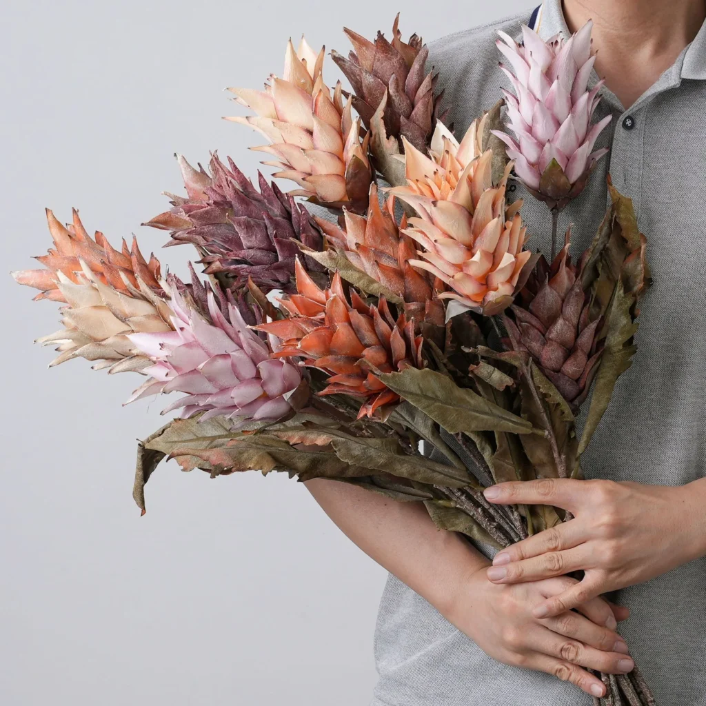 Dried look artificial protea stem with layered bracts and long leaves with the full colour range