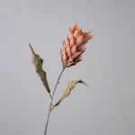 Dried Look Faux Protea Stem 5