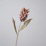 Dried Look Faux Protea Stem 3