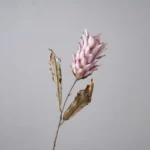 Dried Look Faux Protea Stem 1