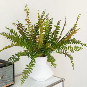 Green large artificial fern frond, sixty centimetres from base to tip, arranged in a vase