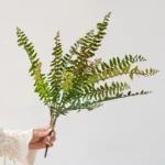 Large Artificial Fern Stem 1