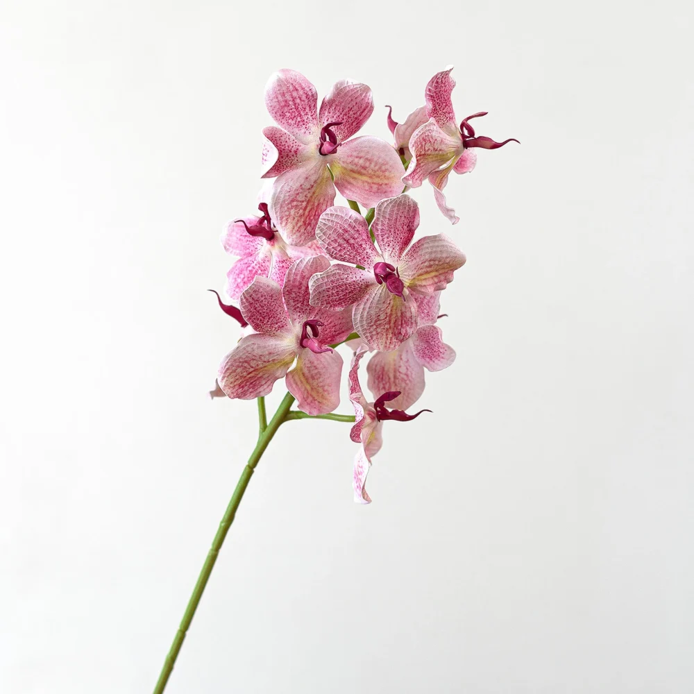 Blush large artificial orchid spray with a dense head of speckled vanda blooms