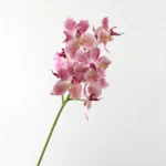Artificial Vanda Orchid Stem 1