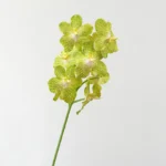Artificial Vanda Orchid Stem 5