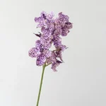Artificial Vanda Orchid Stem 6