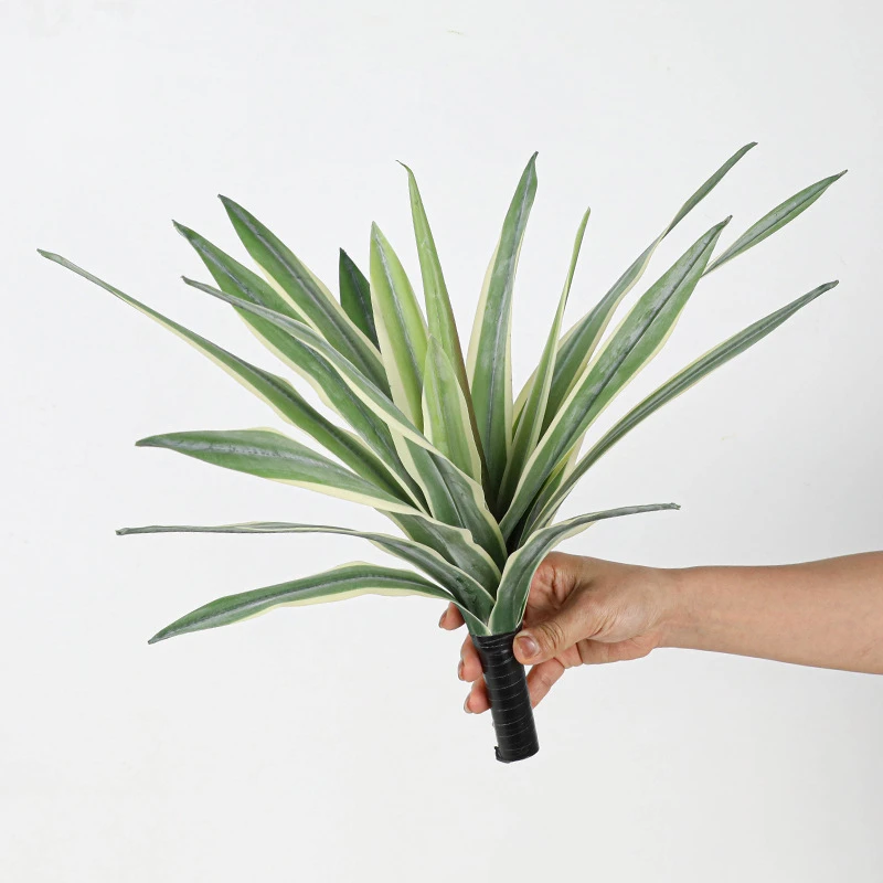 Slim green artificial agave rosette as a flat radiating rosette on a short spike, held in one hand