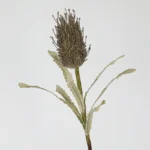 Artificial Banksia Stem 3
