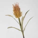 Artificial Banksia Stem 5