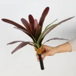 Artificial Bromeliad Rosette 4