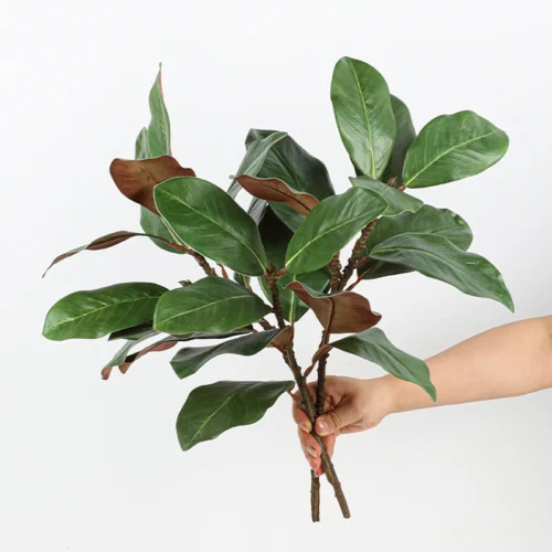 Dense green artificial magnolia leaf branch with the suede brown reverse left on every leaf, held in one hand