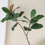 Artificial Magnolia Leaf Branch 1