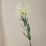 Artificial Pincushion Protea Stem 6