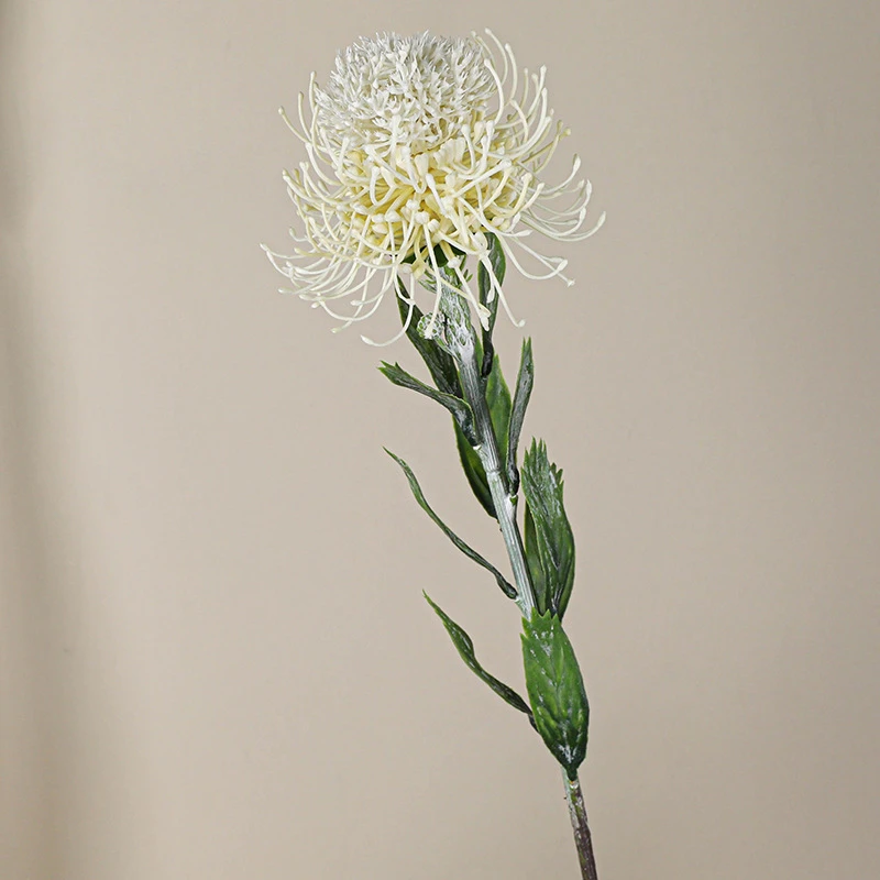 Cream artificial pincushion protea stem with a head of radiating needle petals