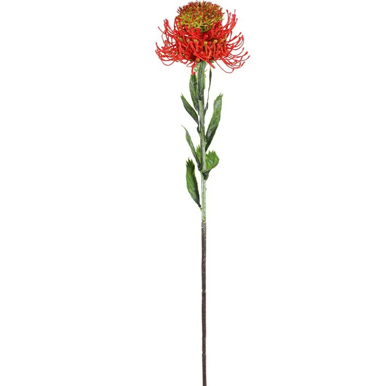 Scarlet artificial pincushion protea stem with a head of radiating needle petals