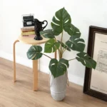 Monstera artificial potted plant in a cement pot in a grey cement pot with rope handles, styled on a table top